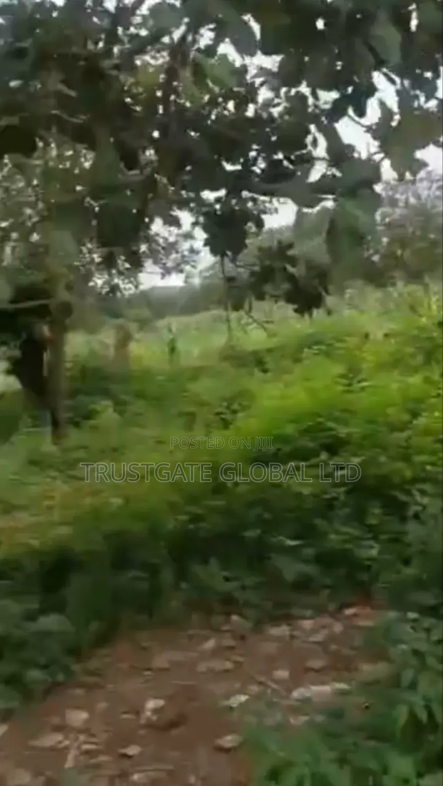 6 Hectares in Karsana South for Sale in Karsana