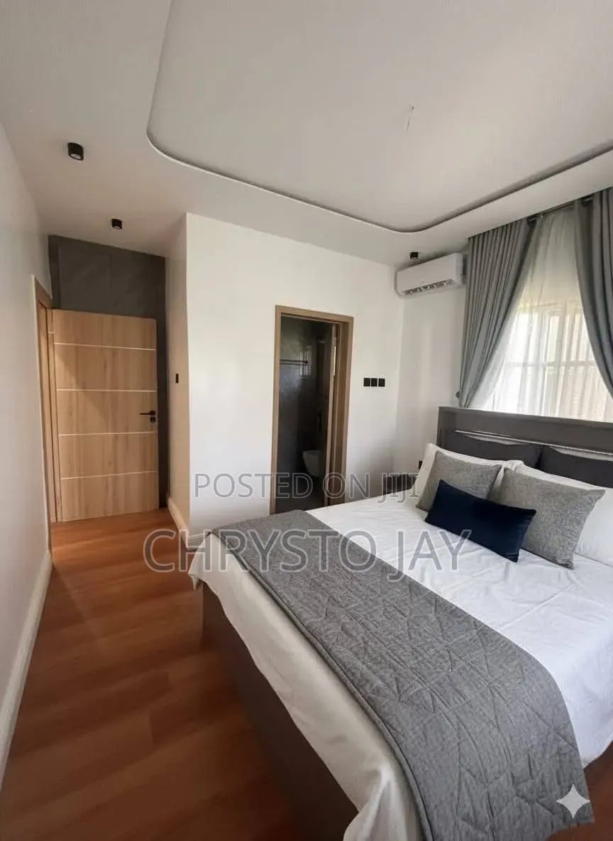 Furnished Mini Flat in Asokoro for rent in Asokoro