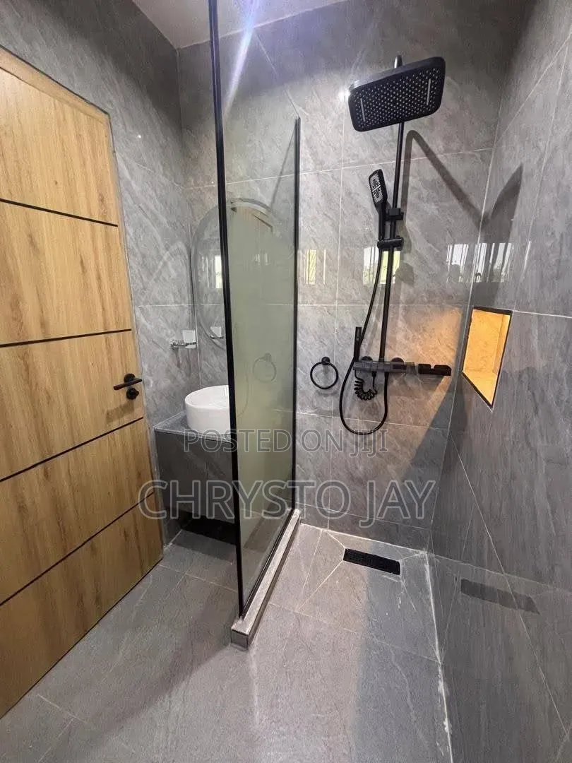 Furnished Mini Flat in Asokoro for rent in Asokoro
