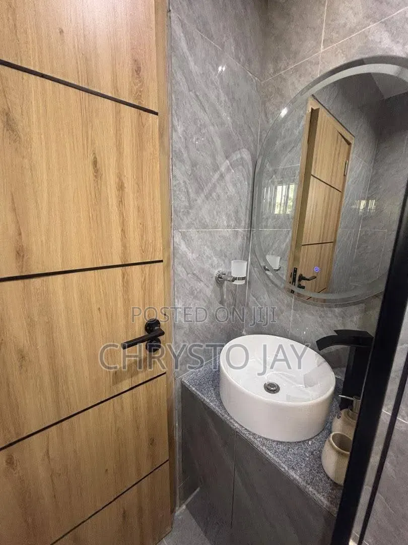 Furnished Mini Flat in Asokoro for rent in Asokoro