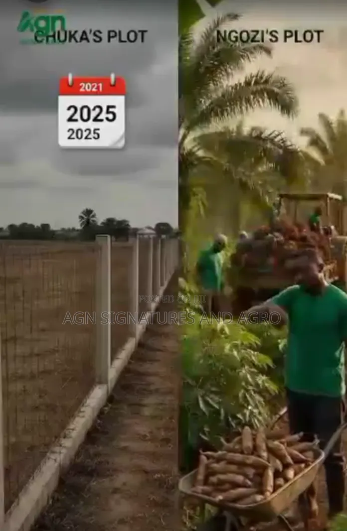 Invest in Farm Estate That Pays You Yearly While You Still Own D Land in Ukwa
