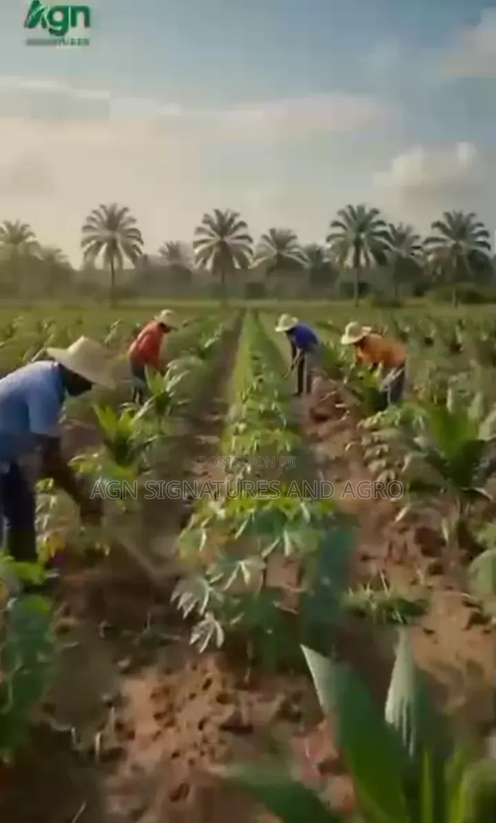Invest in Farm Estate That Pays You Yearly While You Still Own D Land in Ukwa