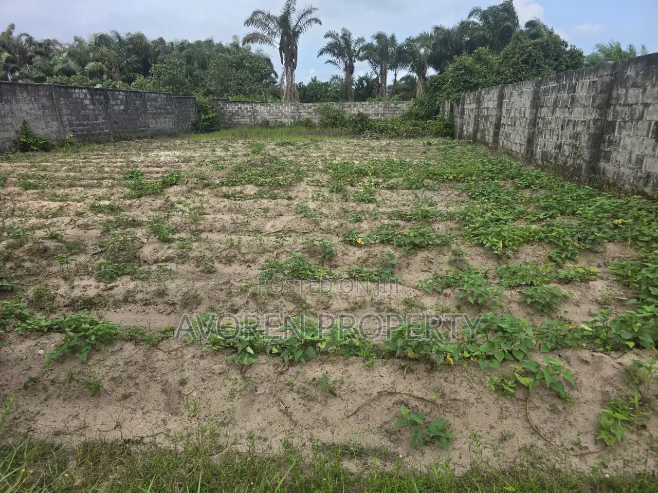 2 Plots of Land for Sale in Eluju Ibeju-Lekki | Prime Investment Land in Ibeju