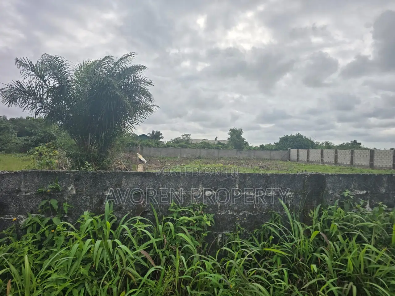 2 Plots of Land for Sale in Eluju Ibeju-Lekki | Prime Investment Land in Ibeju
