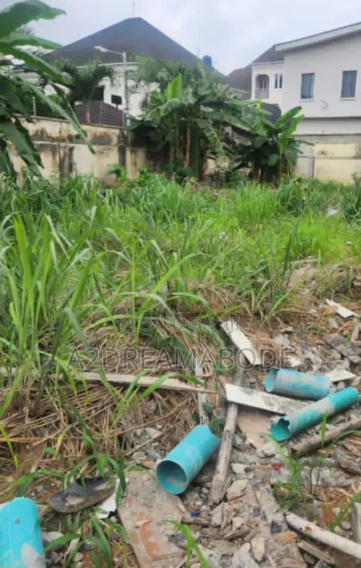 Well Placed Land in Ikeja GRA