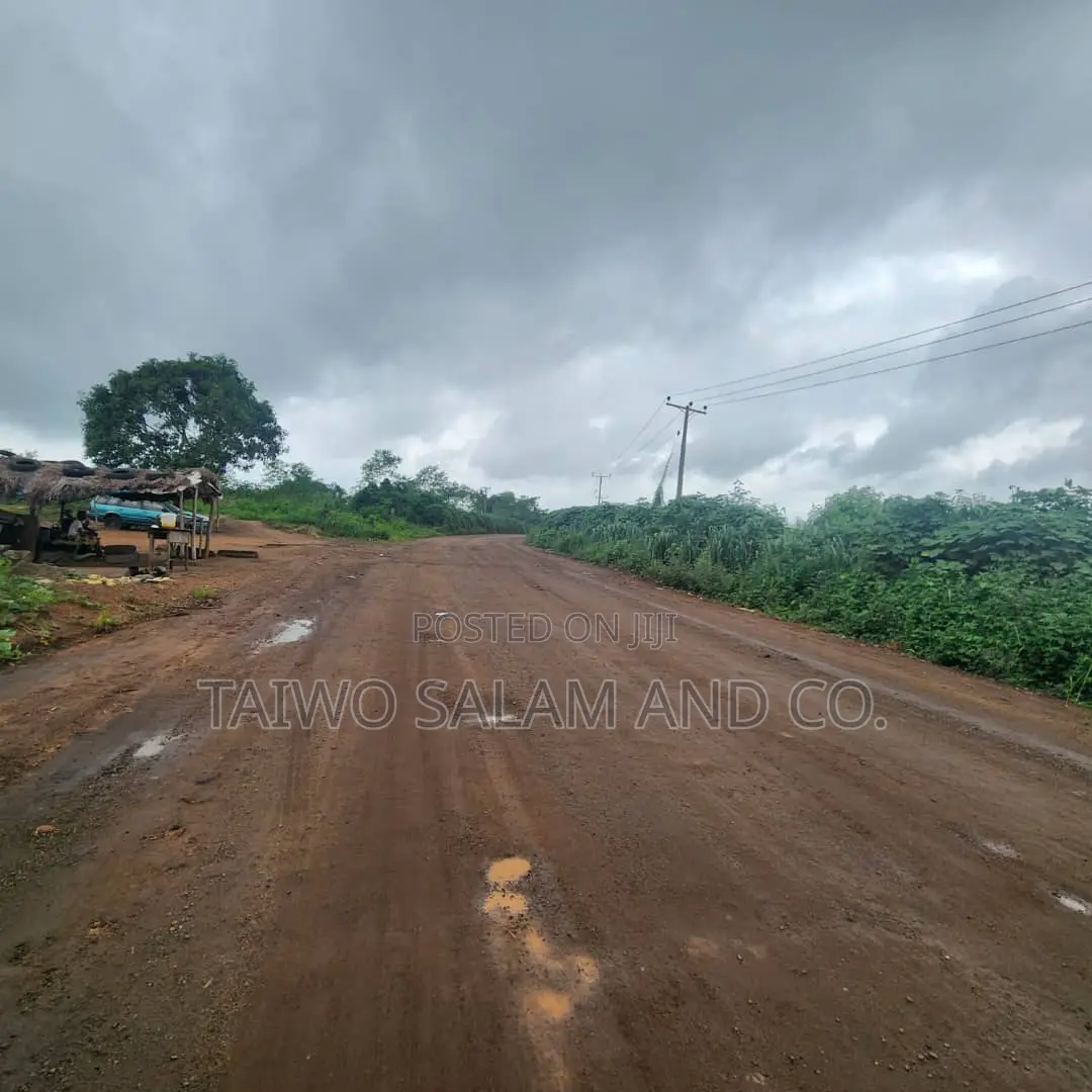 30 Acres of Farm Land in Ido