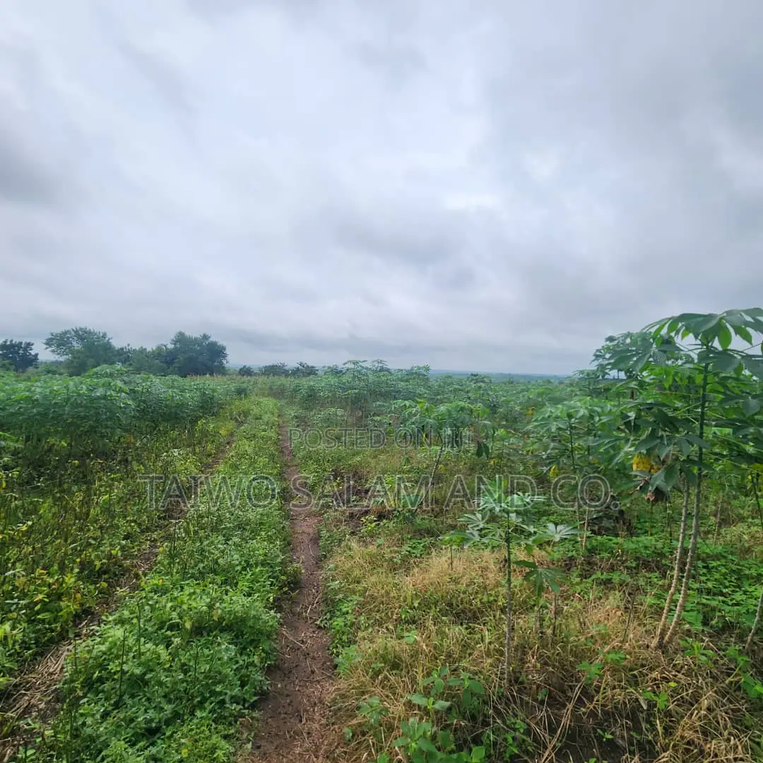 30 Acres of Farm Land in Ido