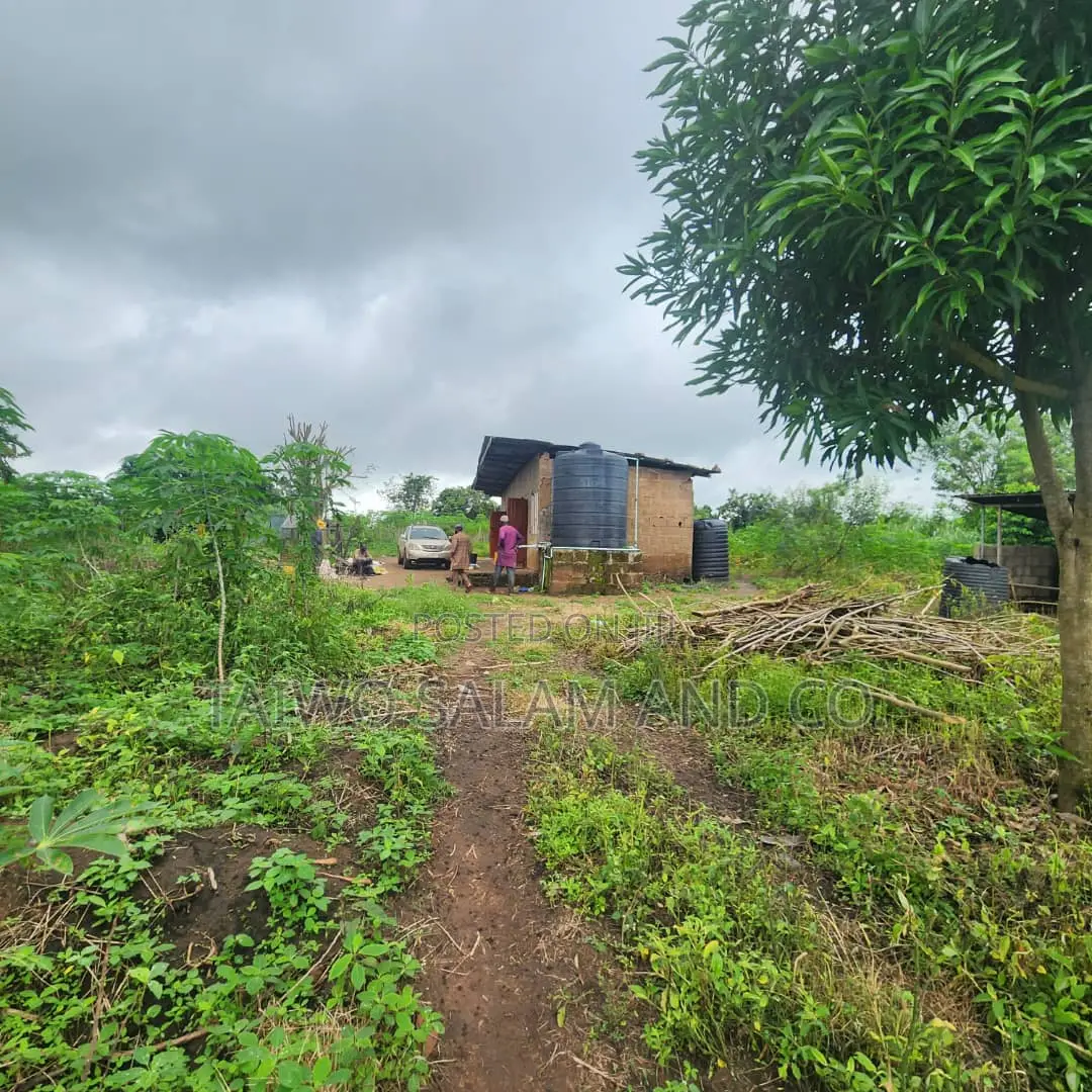 30 Acres of Farm Land in Ido