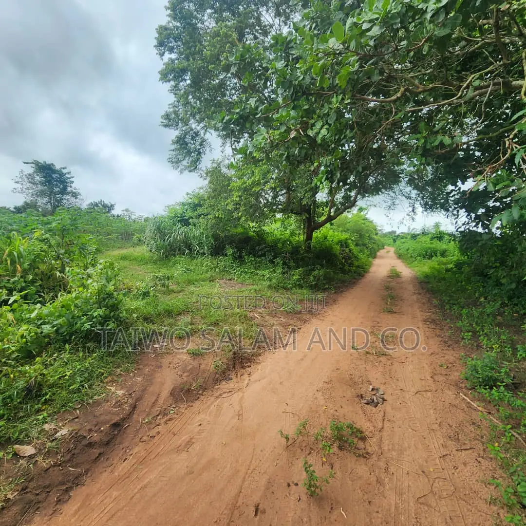 30 Acres of Farm Land in Ido