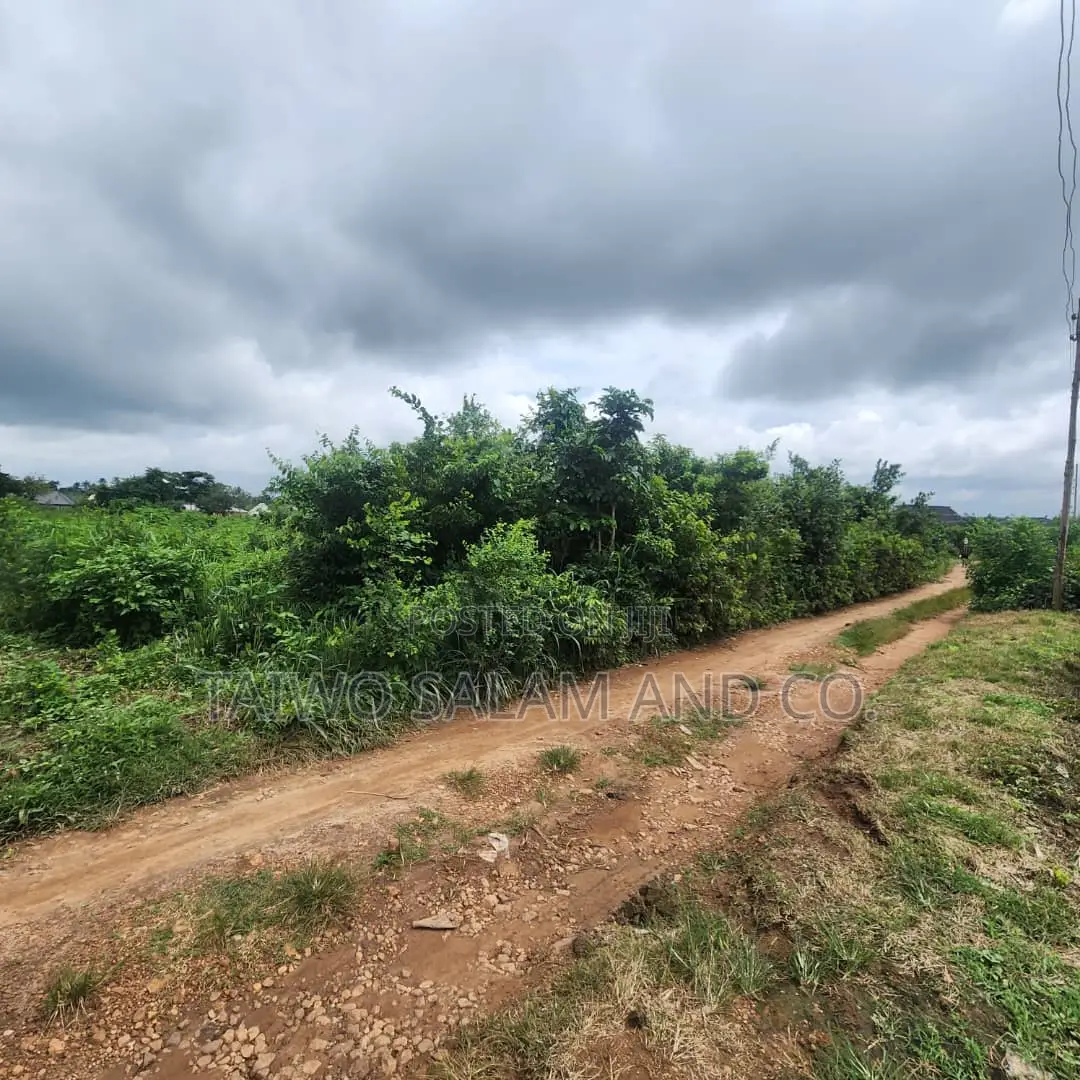 Four(4) Plots of Land in Ido