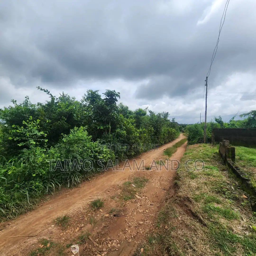 Four(4) Plots of Land in Ido