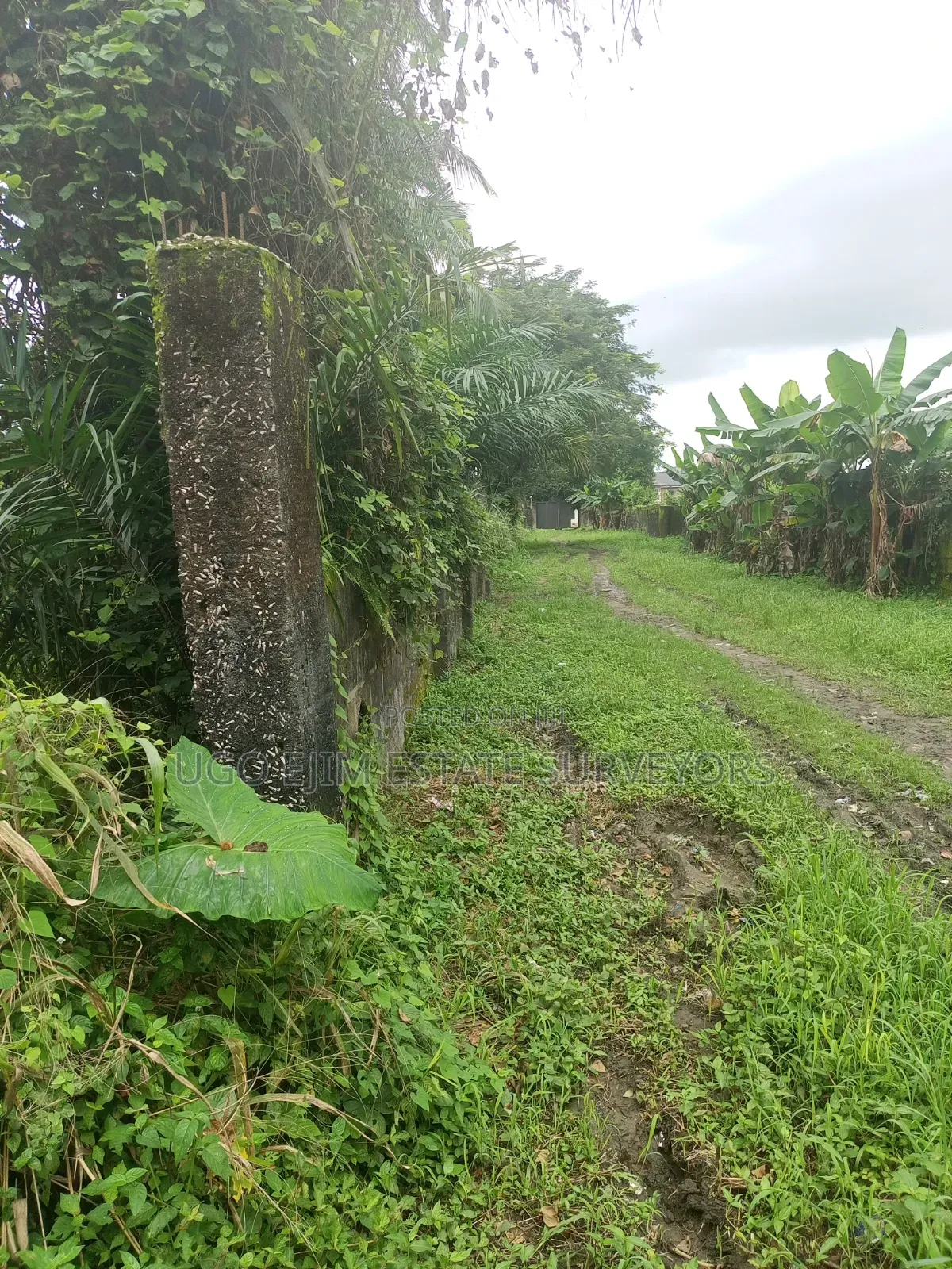 Eighteen (18) Plots of Land for Sale in Port-Harcourt