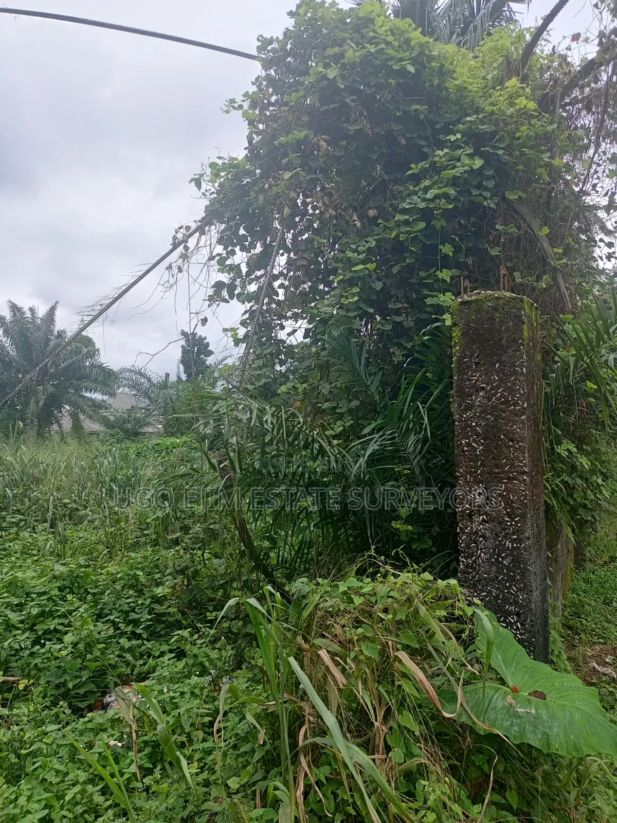 Eighteen (18) Plots of Land for Sale in Port-Harcourt