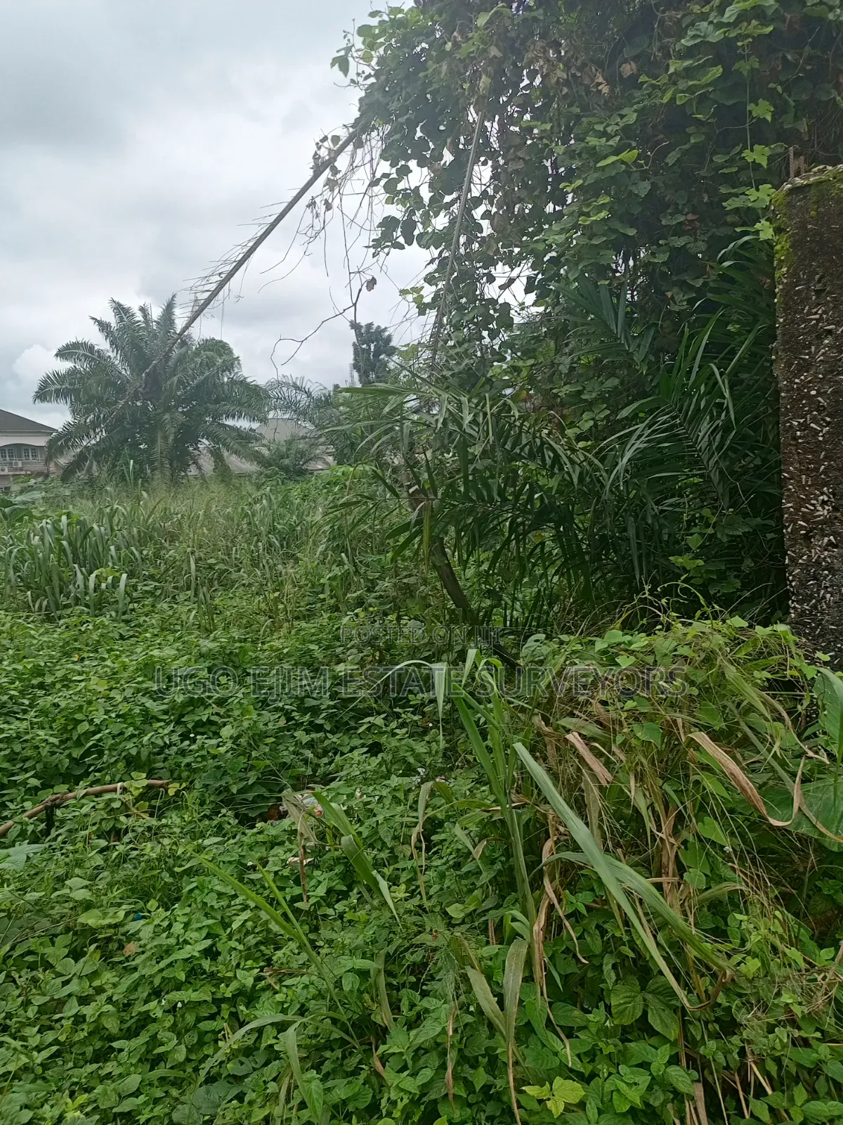 Eighteen (18) Plots of Land for Sale in Port-Harcourt