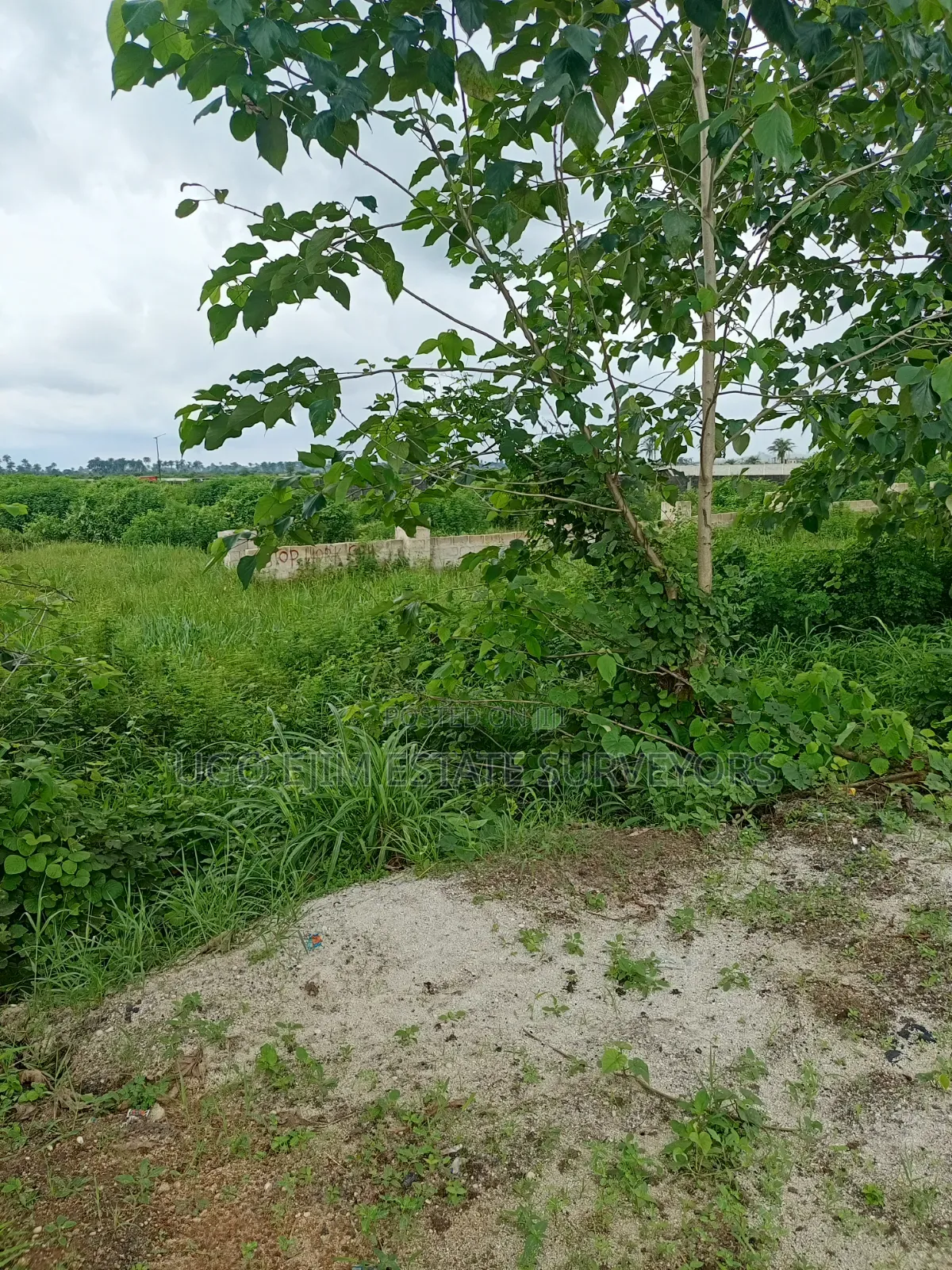 Three Plots of Land at Obirikwere/Airport Road in Port-Harcourt