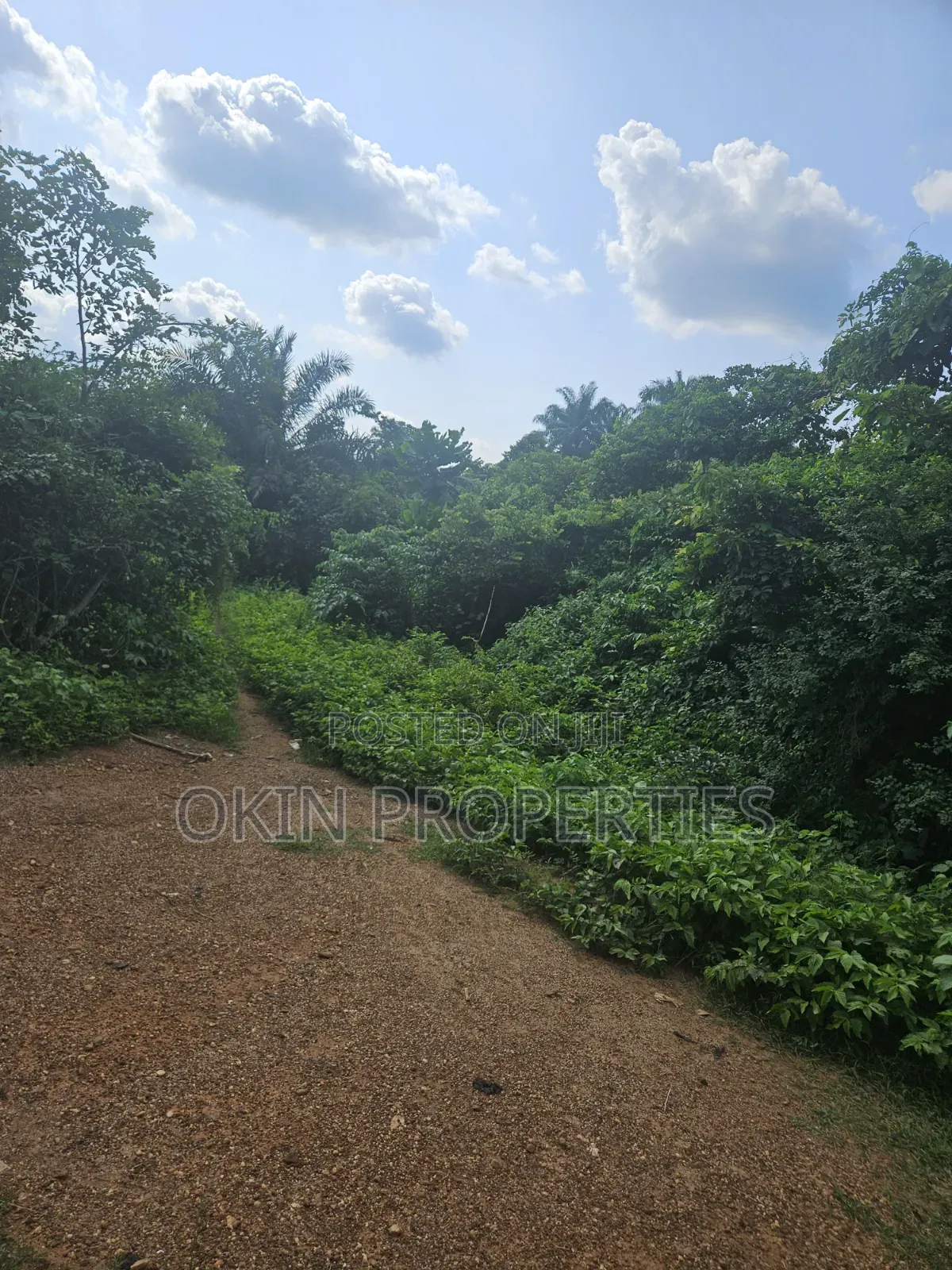 Farm Land at Iragberi in Osogbo