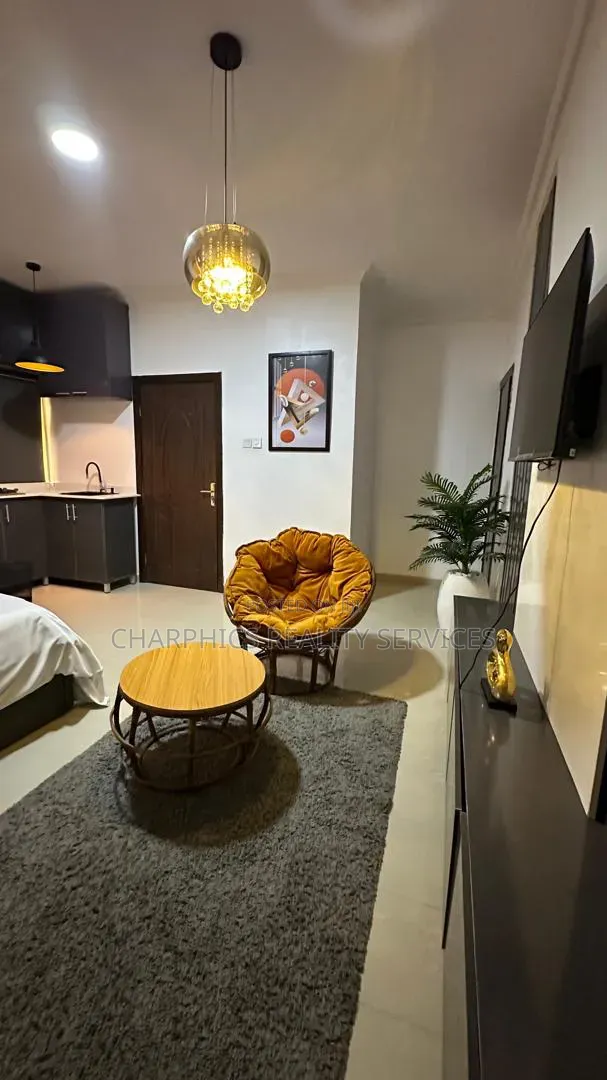 Furnished Studio Apartment in Lekki Phase 1 for rent in Lekki Phase 1