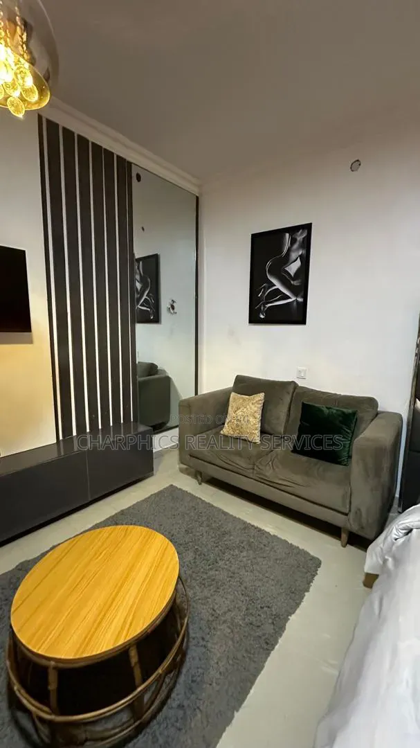 Furnished Studio Apartment in Lekki Phase 1 for rent in Lekki Phase 1