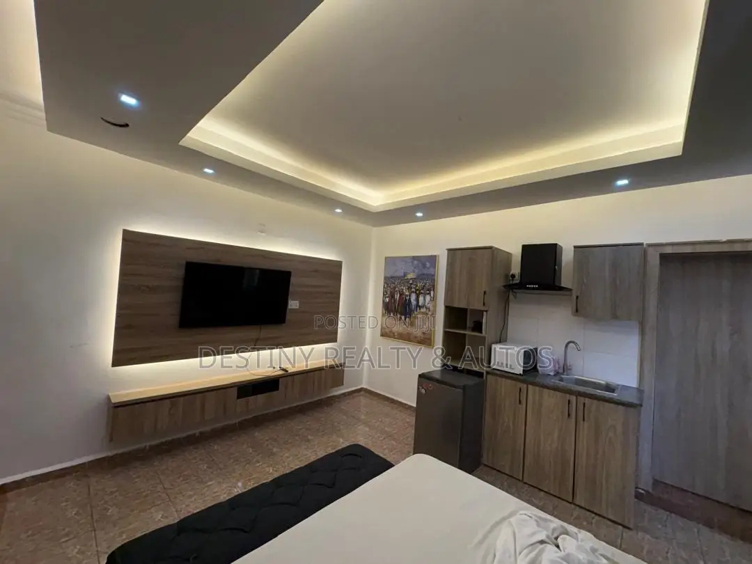 Furnished Studio Apartment in Garki 1 for rent in Garki 1