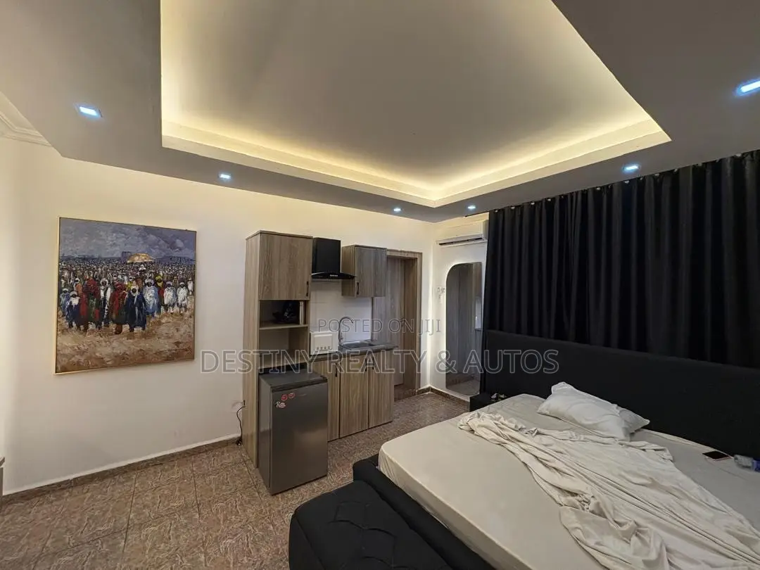 Furnished Studio Apartment in Garki 1 for rent in Garki 1