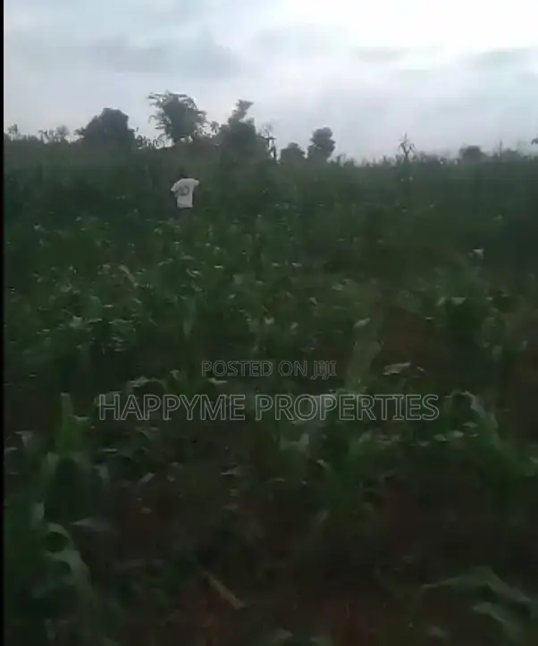 Premium 18.40-Hectare Land for Sale at Wasa, Apo, Abuja in Wasa