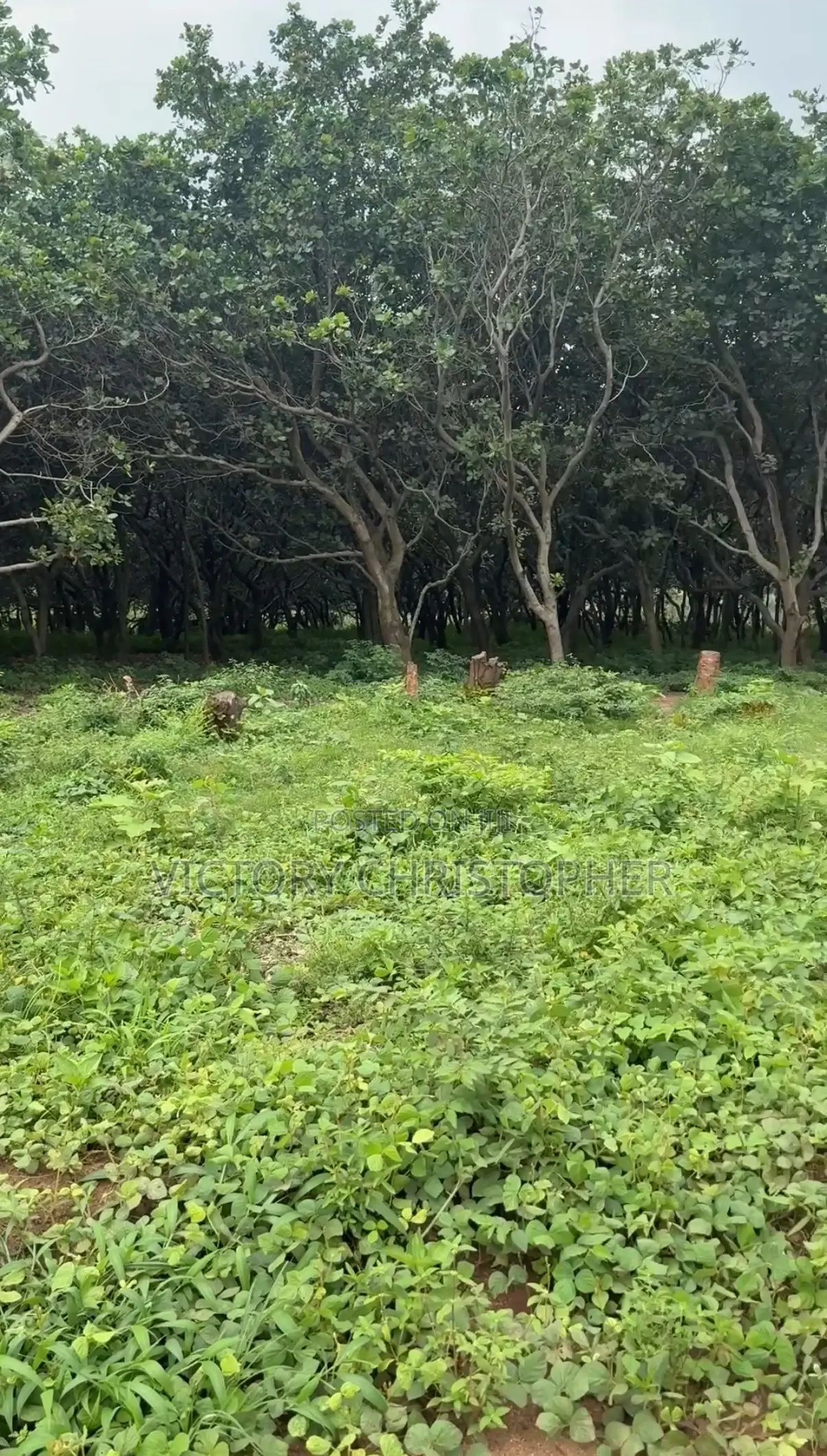 1400sqm Residential Land in Katampe Extension