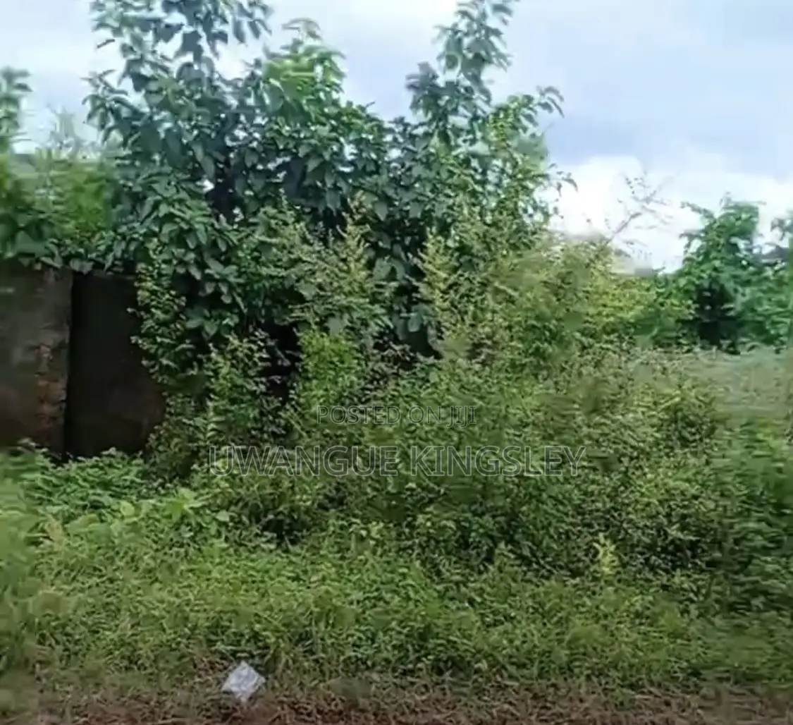 Land for Sale in Auchi
