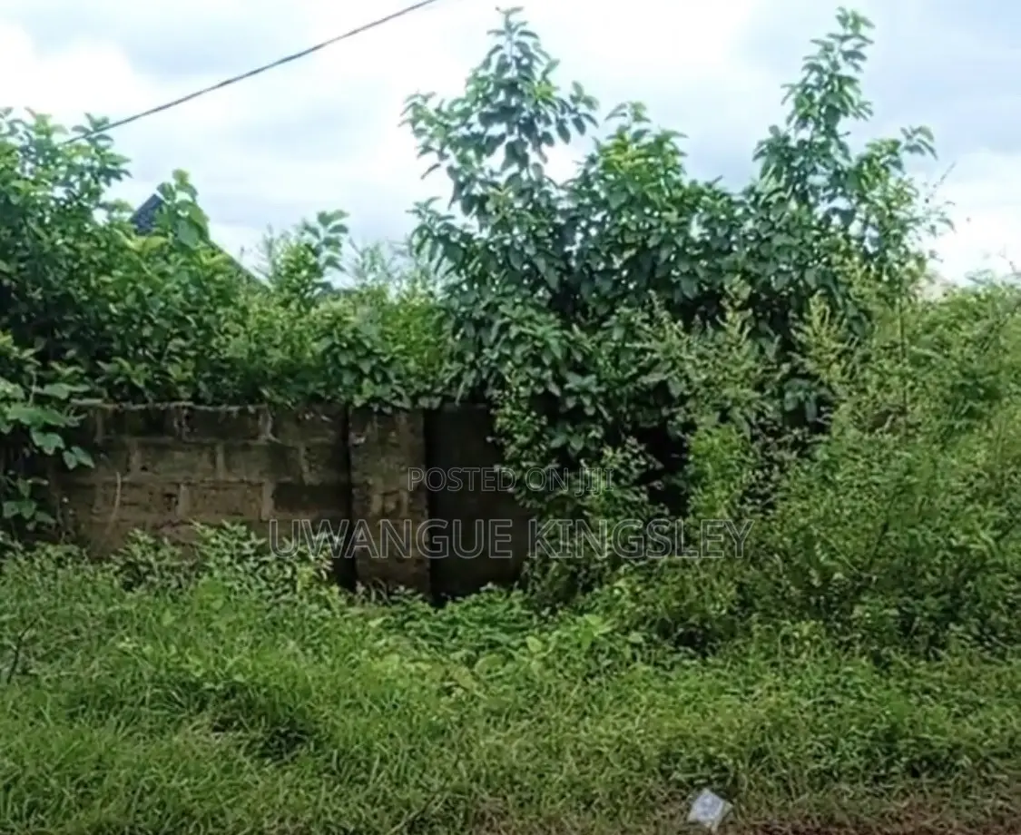 Land for Sale in Auchi