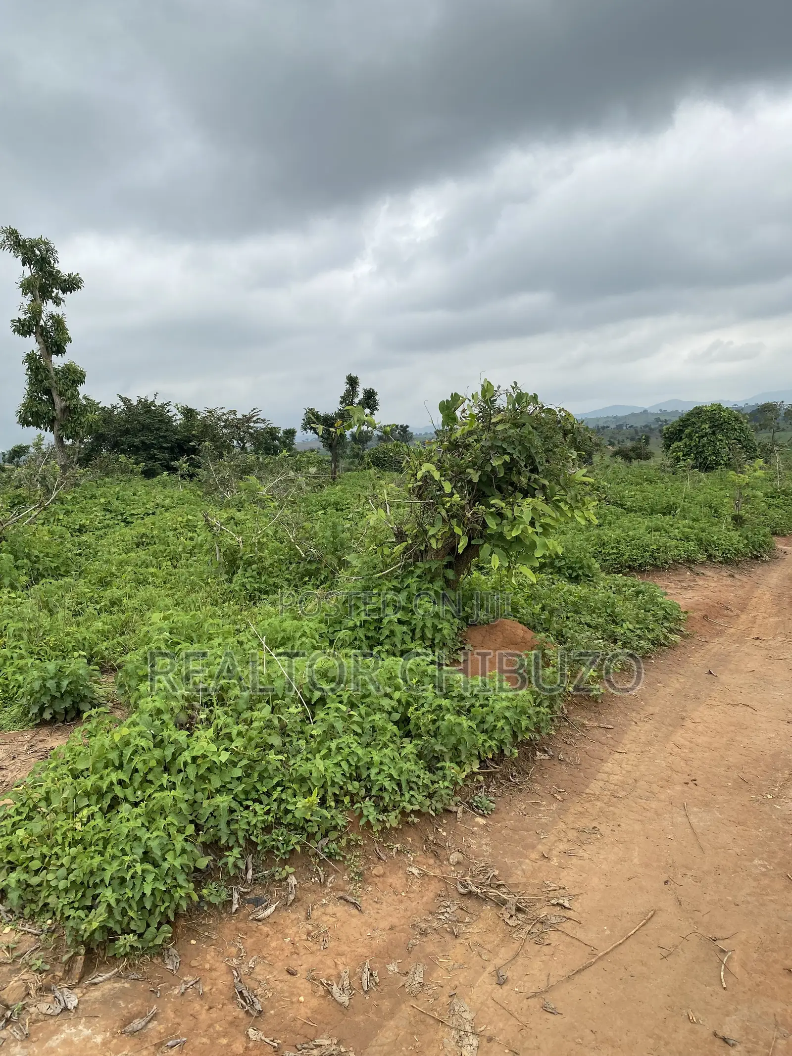 Hectare Sales at Apo Wassa - 200mill Per Hec in Wasa