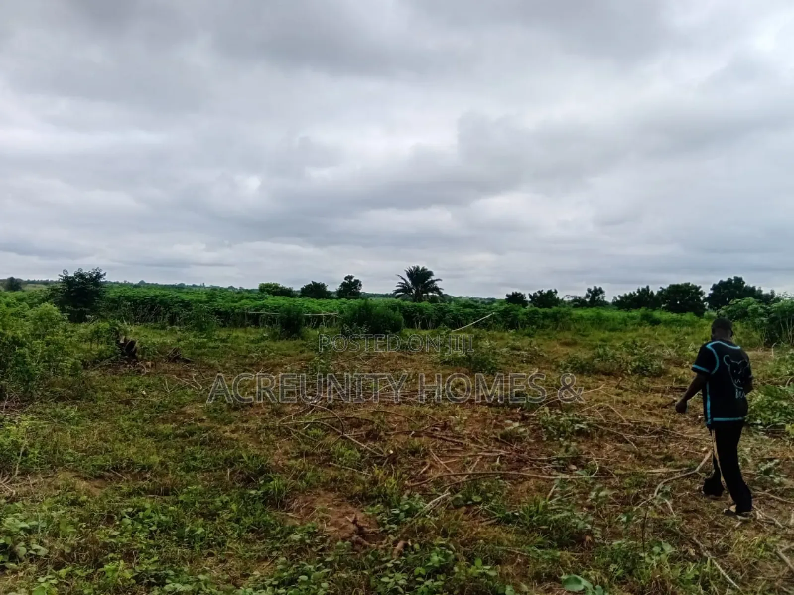 15 Acres of Fertile Farmland Available at Gbangbala Village, Iseyin LG in Iseyin