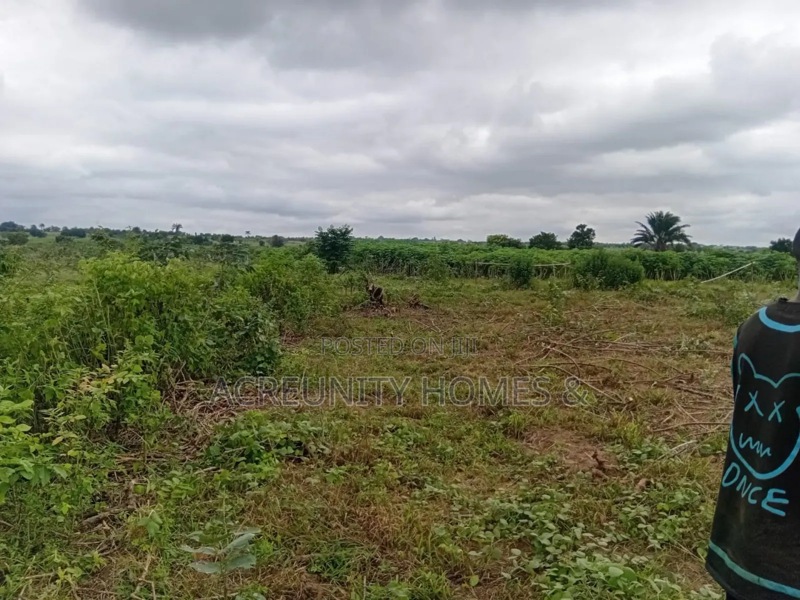 15 Acres of Fertile Farmland Available at Gbangbala Village, Iseyin LG in Iseyin