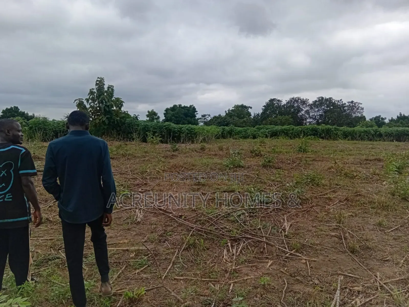 15 Acres of Fertile Farmland Available at Gbangbala Village, Iseyin LG in Iseyin