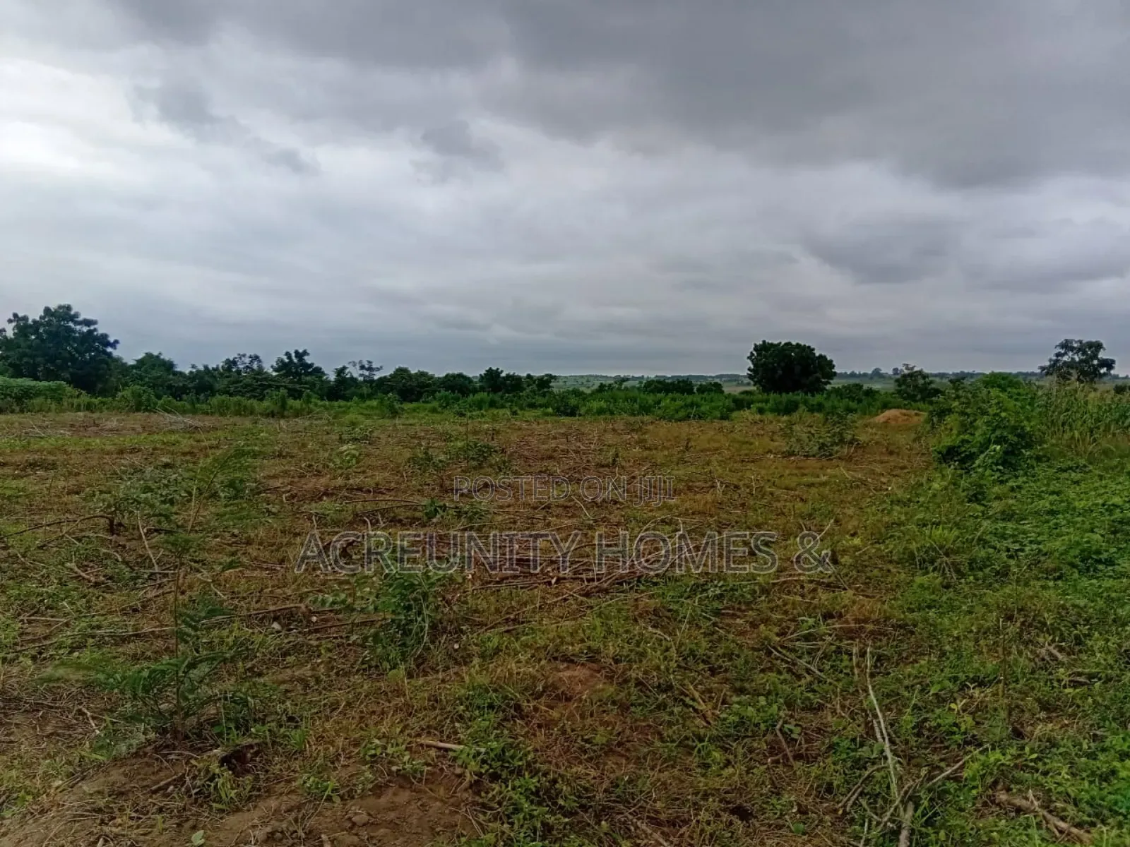 15 Acres of Fertile Farmland Available at Gbangbala Village, Iseyin LG in Iseyin