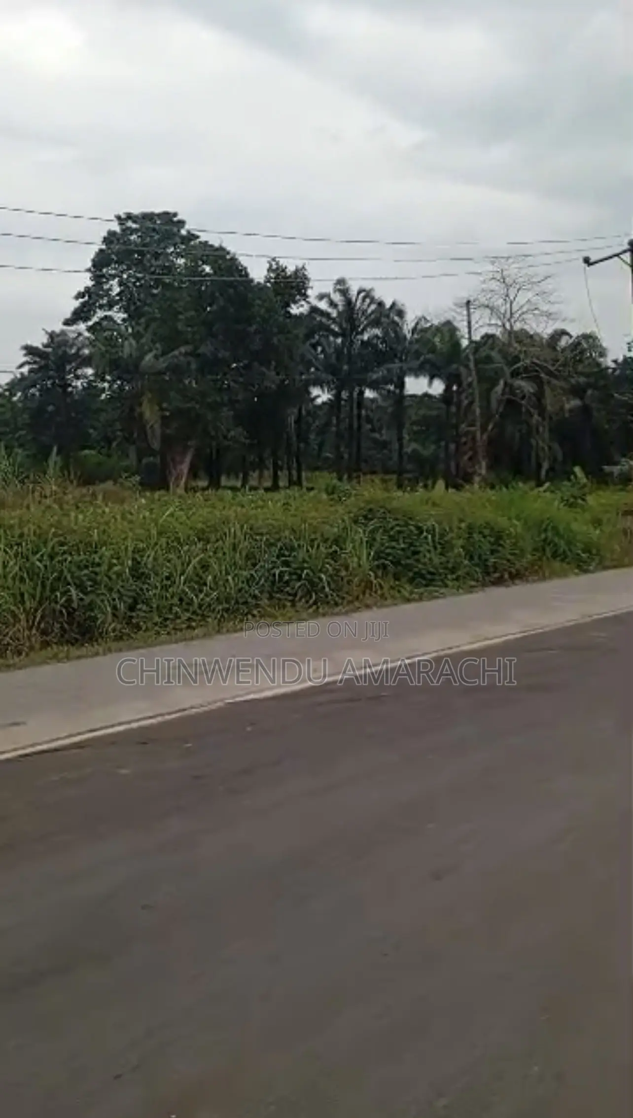 Land for Sale in Enugu State
