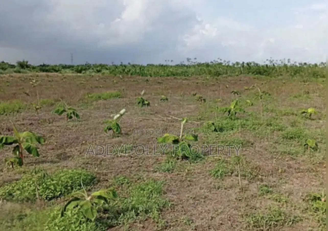 Farm Land on Sale in Nigeria in Obafemi-Owode
