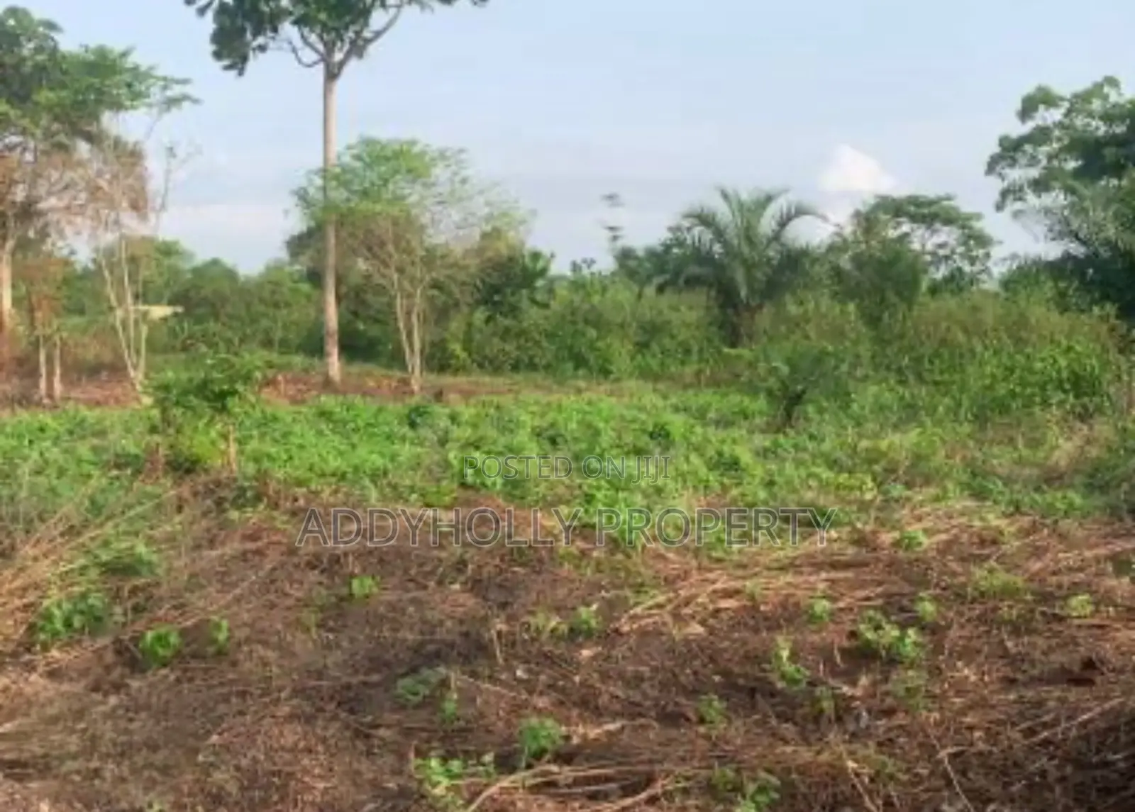 Farm Land on Sale in Nigeria in Obafemi-Owode