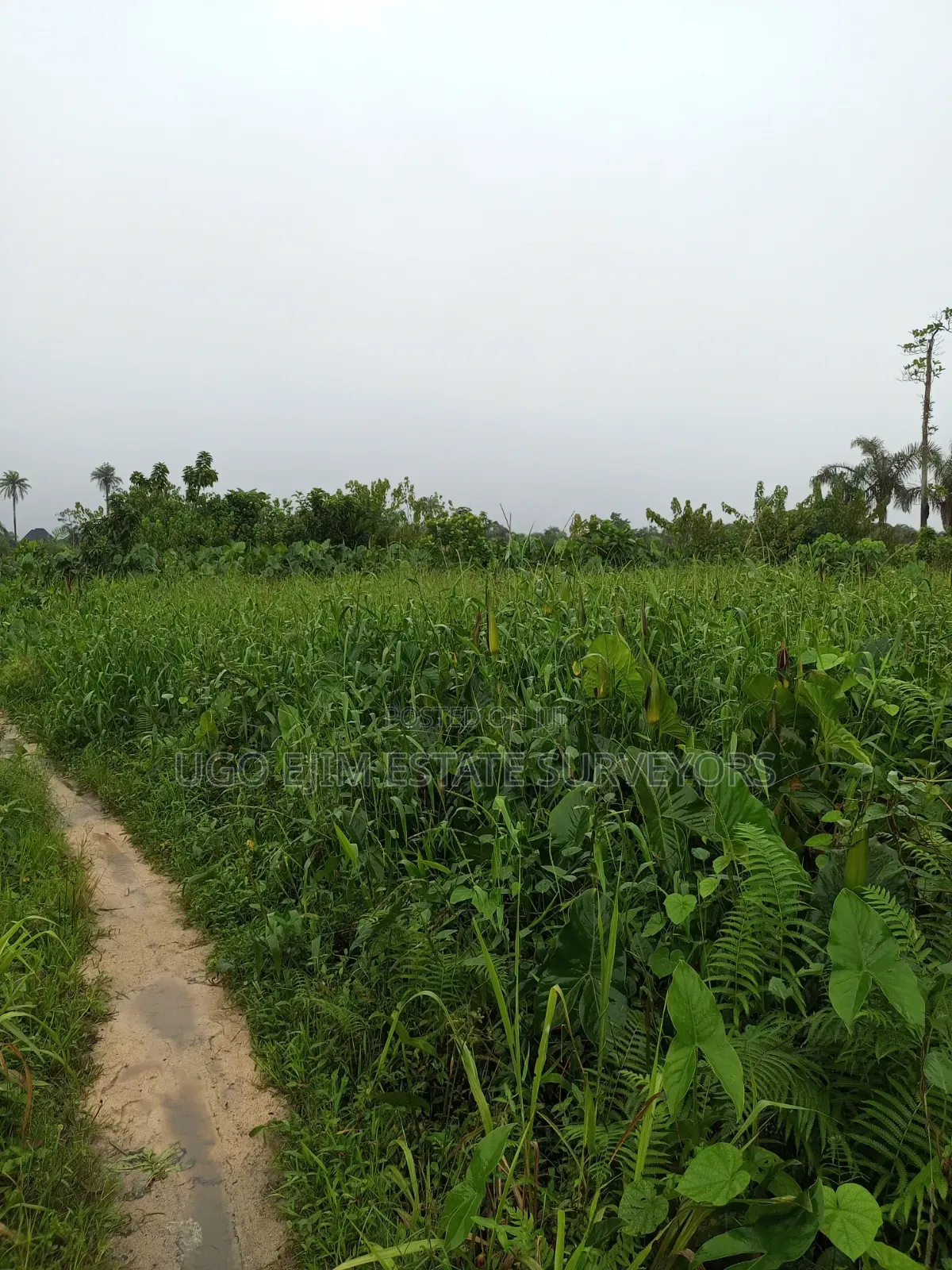 104 Plots of Land in Port-Harcourt