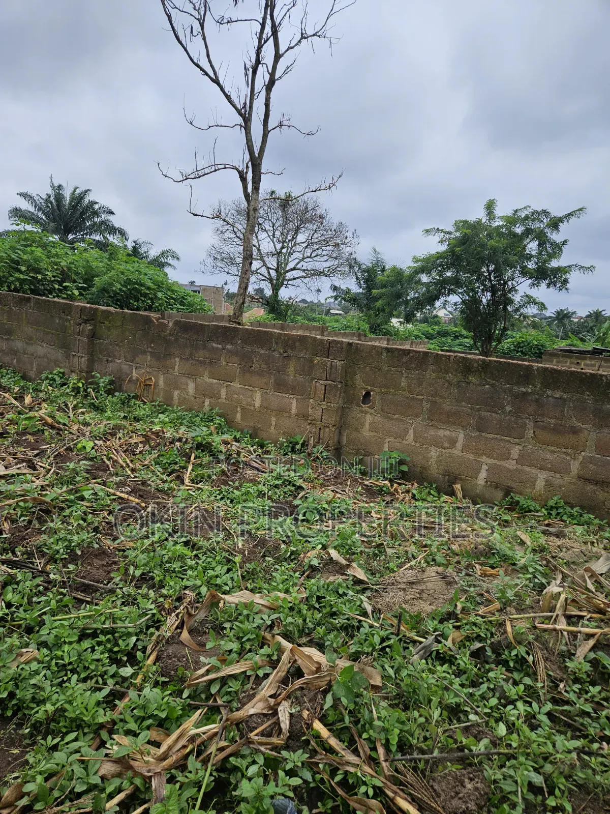 A Plot of Land Behind Federal Housing Estate Okeonitea in Osogbo