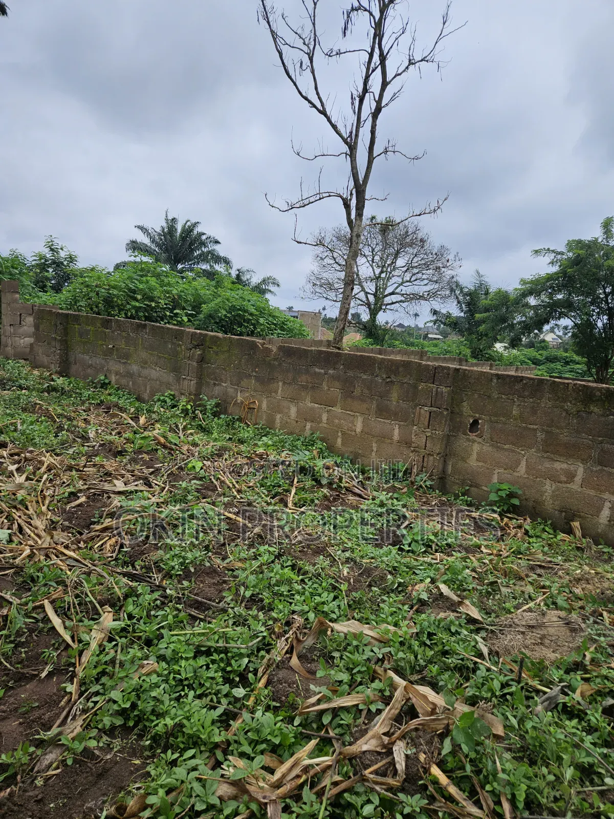 A Plot of Land Behind Federal Housing Estate Okeonitea in Osogbo