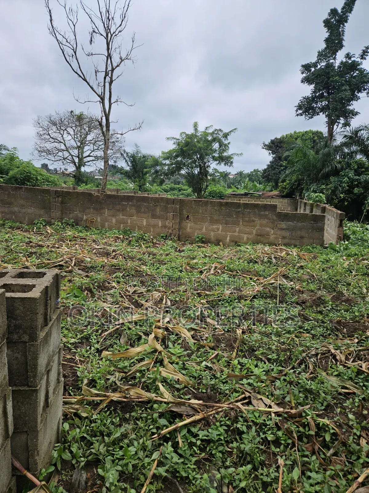 A Plot of Land Behind Federal Housing Estate Okeonitea in Osogbo