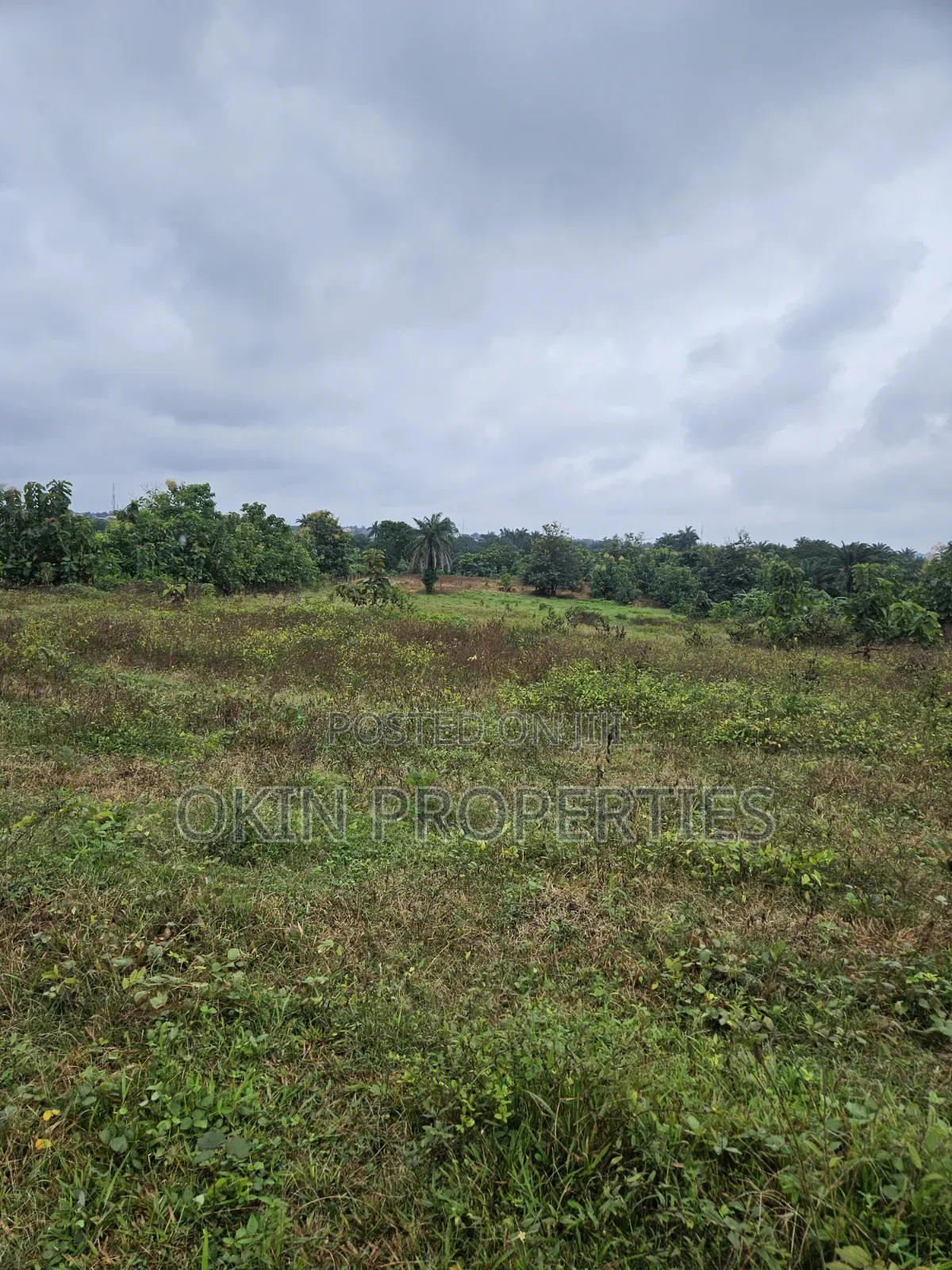 Plots of Land at Adeleke Estate Okemokin Osogbo in Osogbo