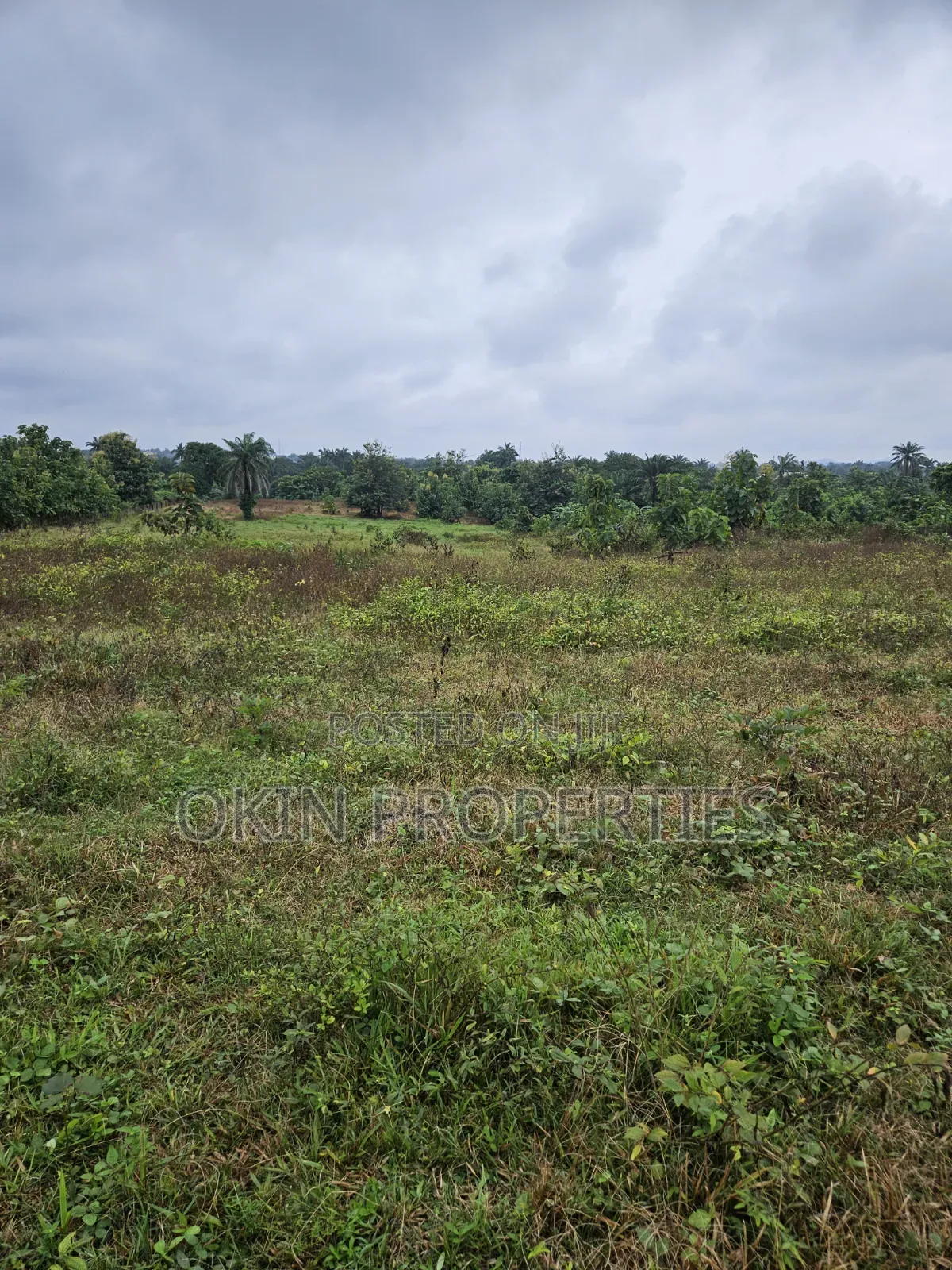 Plots of Land at Adeleke Estate Okemokin Osogbo in Osogbo