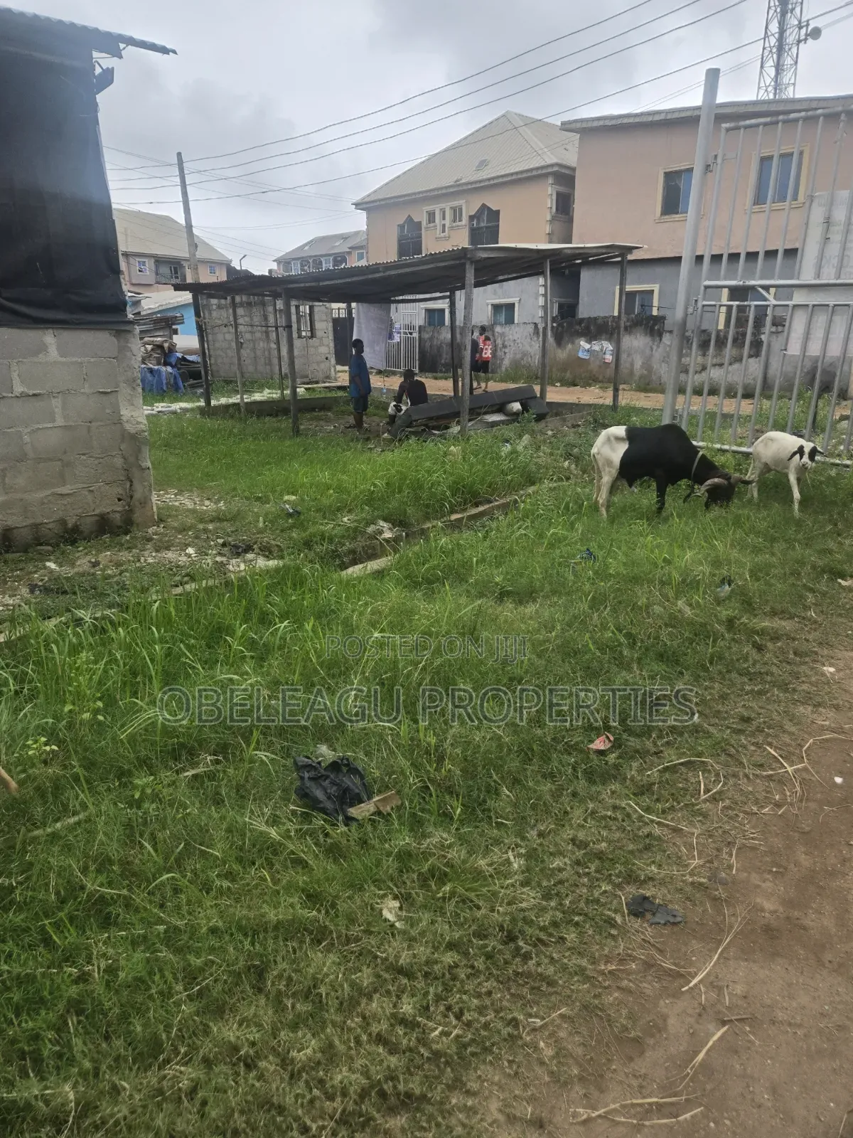 Deed and Survey in Satelite Town