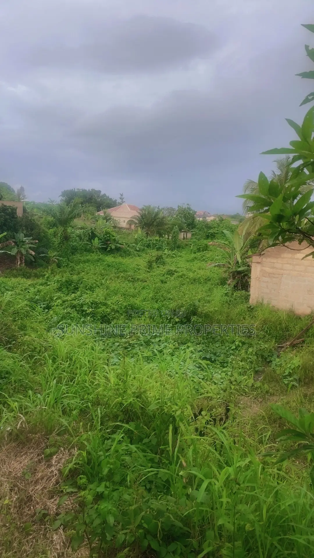 For Sale 12 Plots of Landcivil Defense Ipinsha ,Oke-Odu in Akure