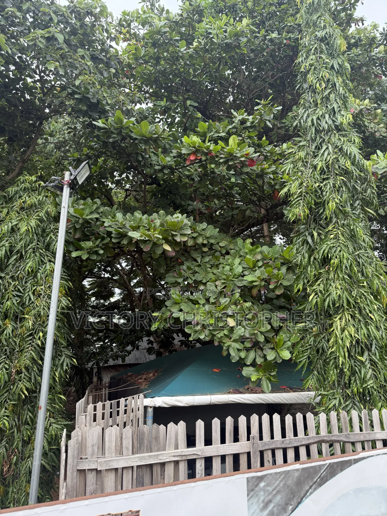 1220sqm Residential Land in Wuye