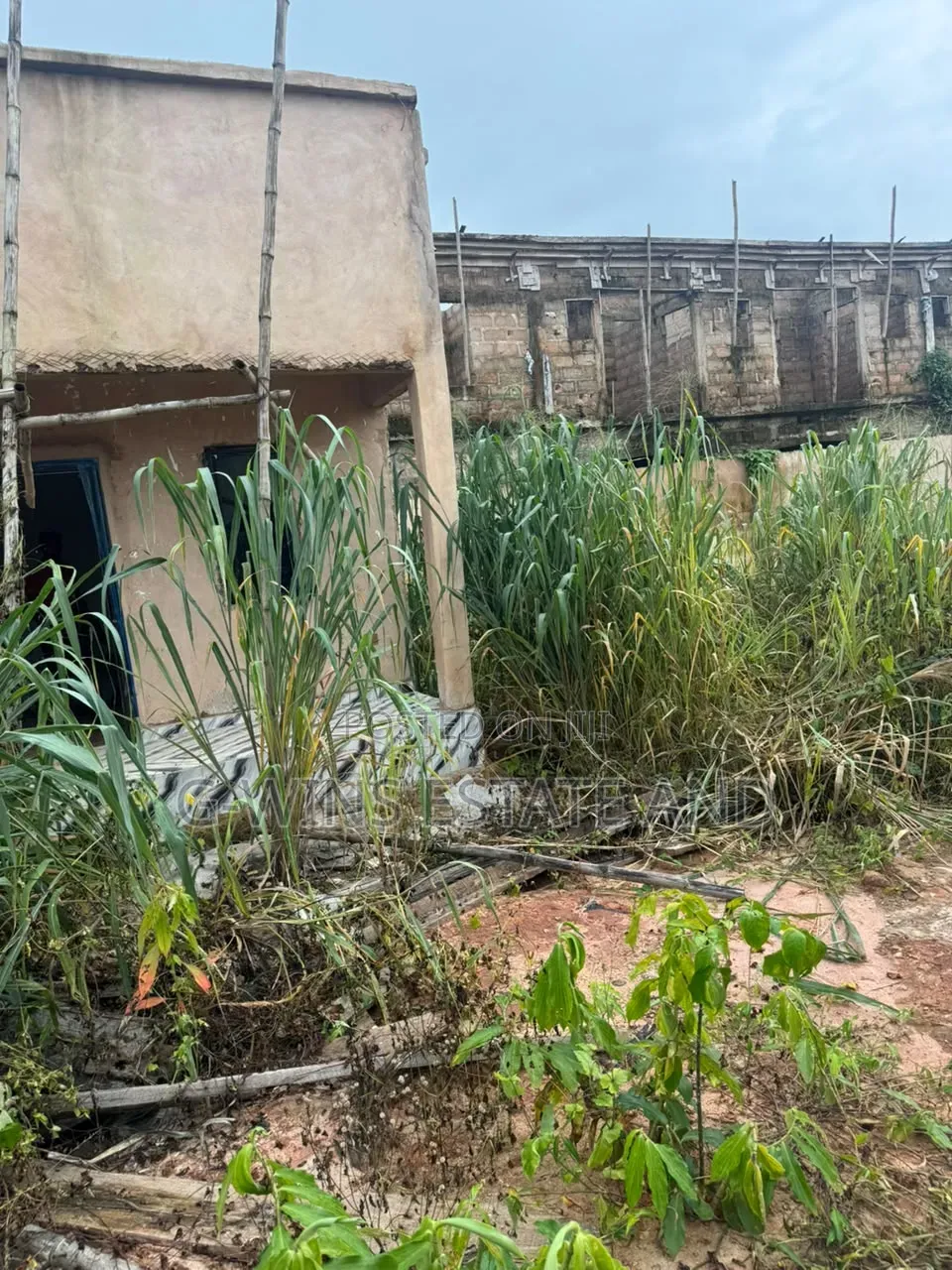 50x100ft by 40ft in Benin City