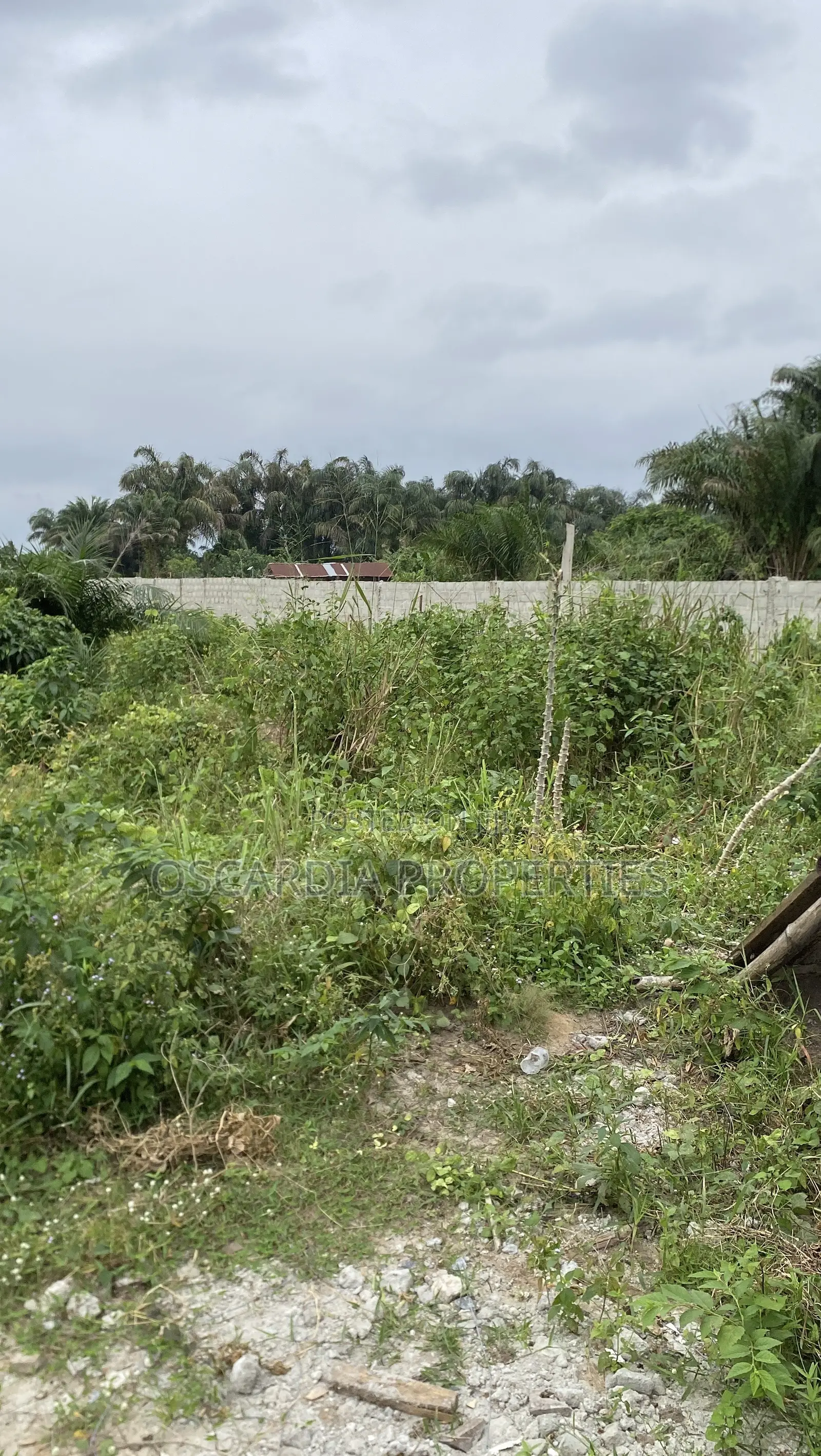 Plots of Land for Sale Near Lekki International Airport, Lagos Nigeria in Elerangbe