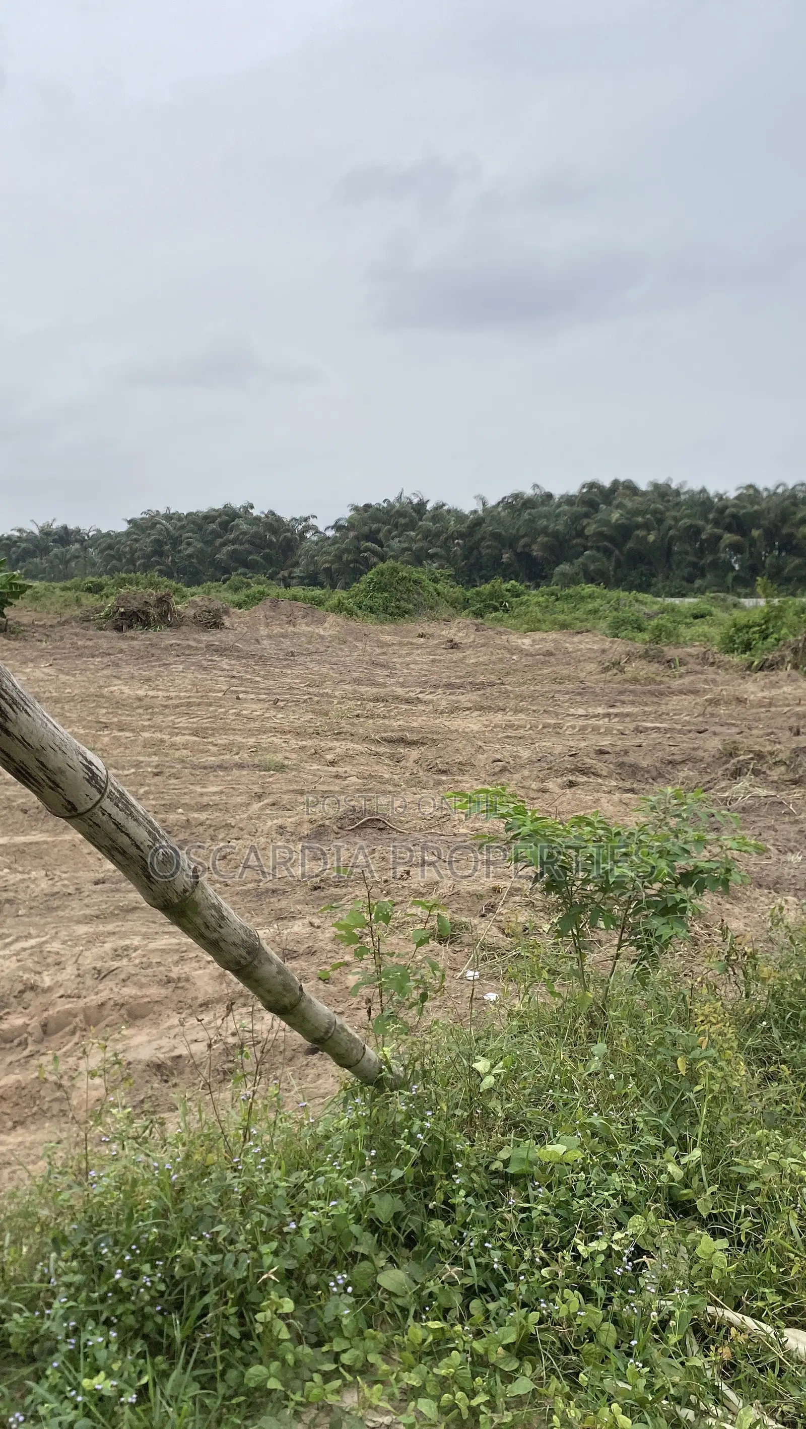 Plots of Land for Sale Near Lekki International Airport, Lagos Nigeria in Elerangbe