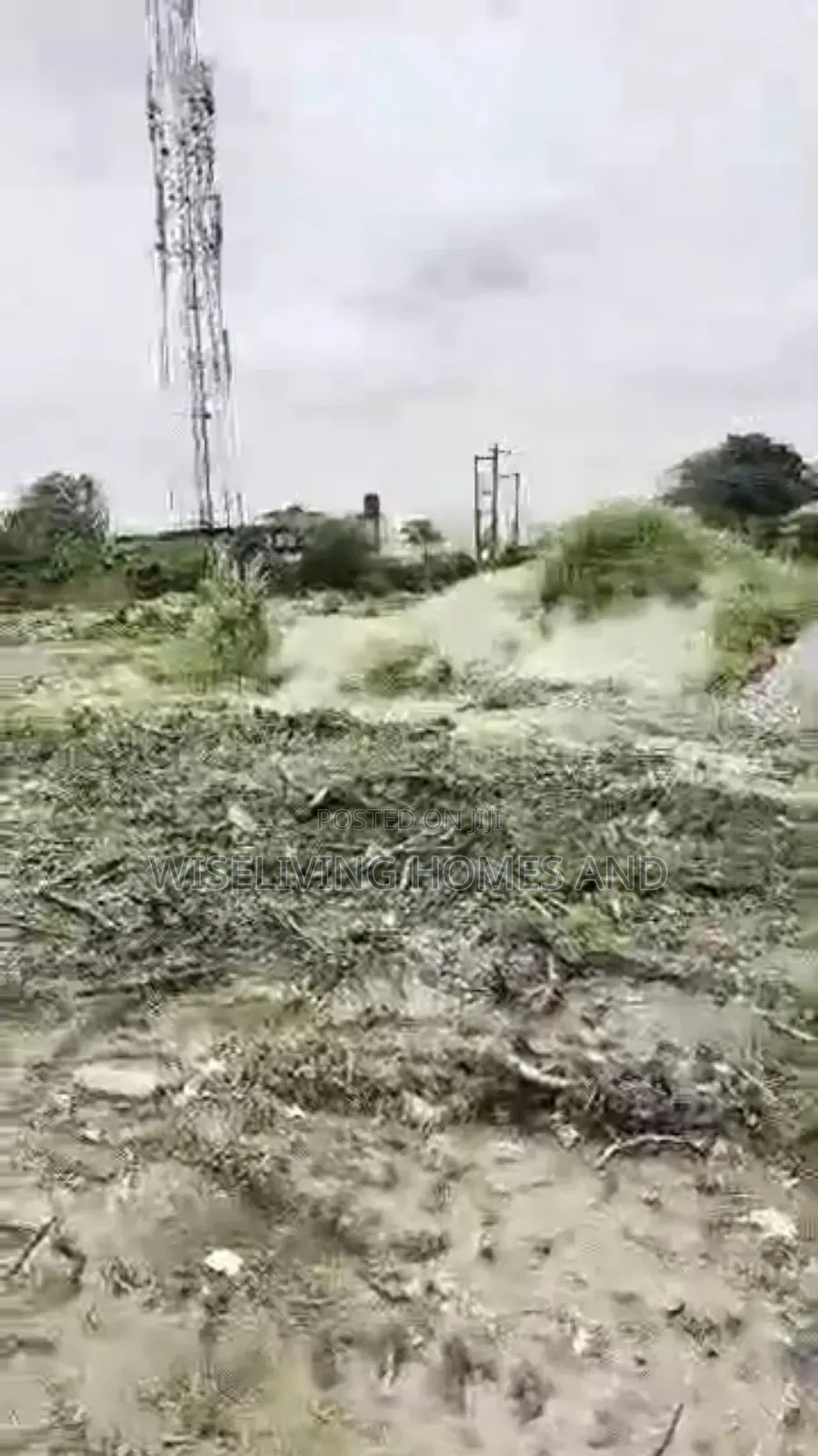 Dry Plain Land in Agidingbi , Ikeja Lagos in Agidingbi