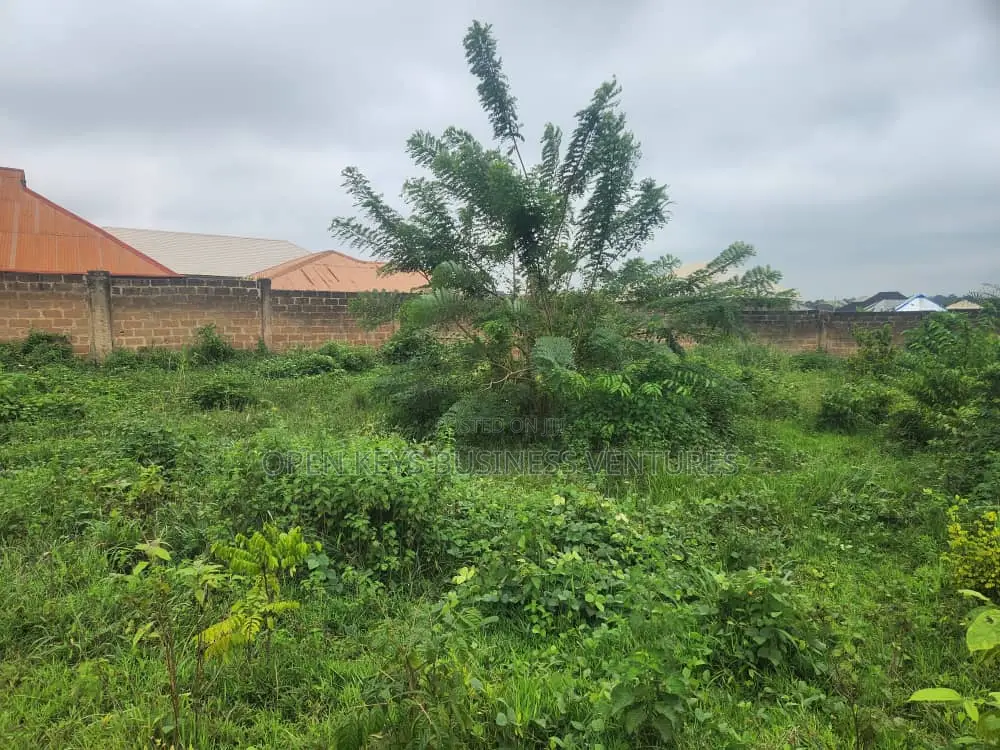 A Well Fenced Plot of Land in Odo Ona